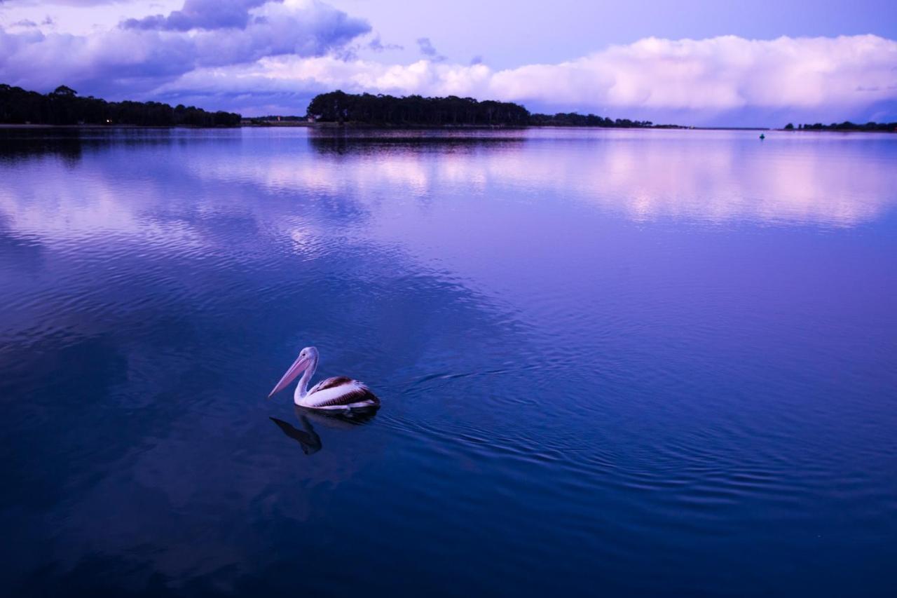 Hotel The Seabird Moruya Zewnętrze zdjęcie